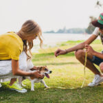 Fun and Creative Ways to Keep Your Pet Active and Entertained