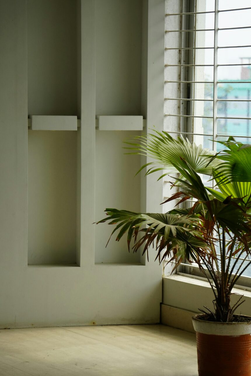American modern home decor trends